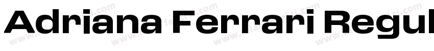 Adriana Ferrari Regular字体转换